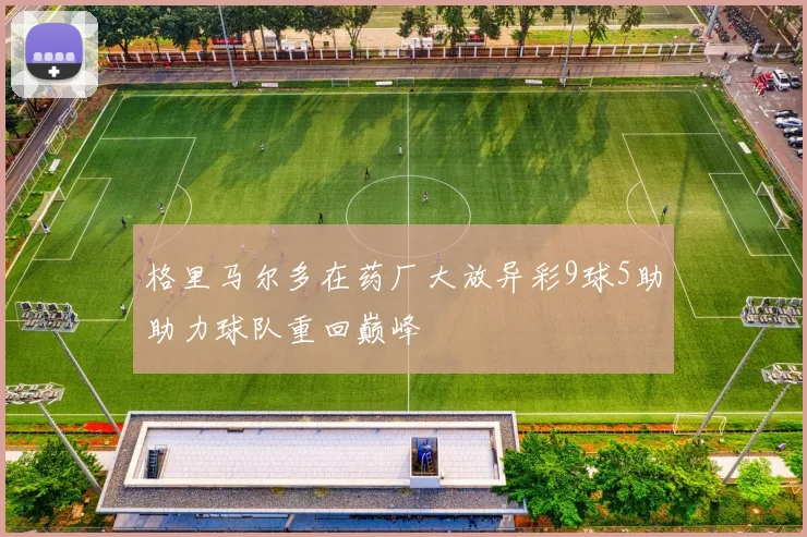格里马尔多在药厂大放异彩9球5助助力球队重回巅峰
