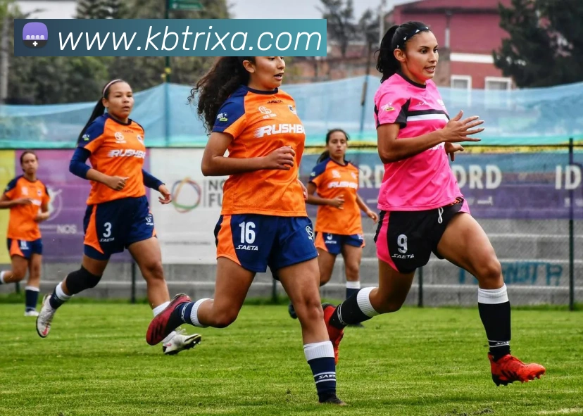 App Interface Preview