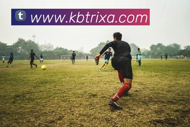 KB体育APP 封面图